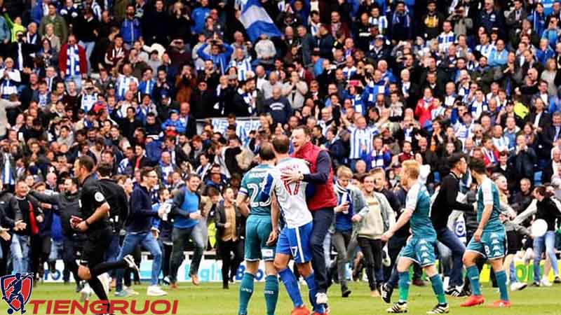 Brighton & Hove Albion FC tại giải ngoại hạng Anh