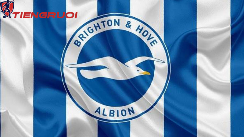 Câu lạc bộ Brighton là vẻ đẹp của bóng đá Anh hiện đại